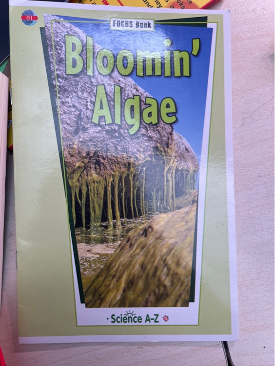 Bloomin Algae