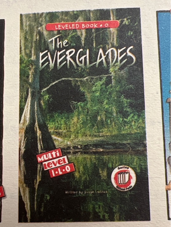 THE EVERGLADES (RAZ O)