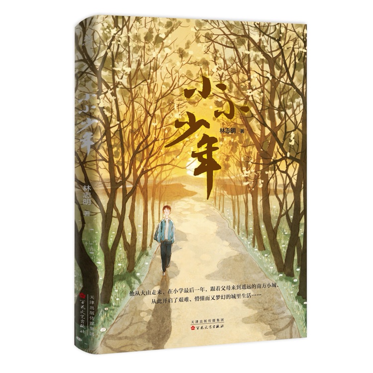 小小少年
