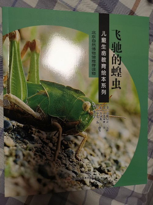 飛馳的蝗蟲