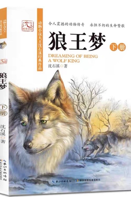 狼王夢(mèng)下冊(cè)