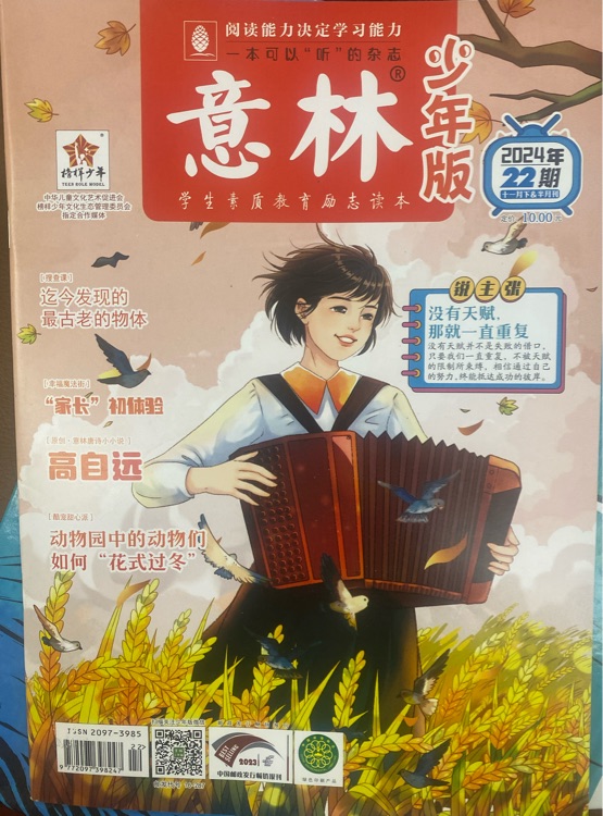 意林少年版合訂本2024.17-20