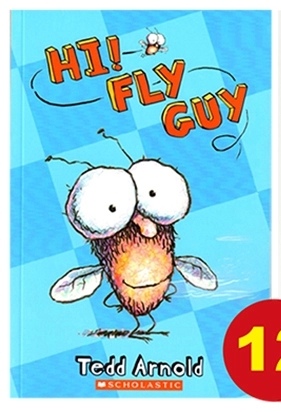 Hi! fly guy