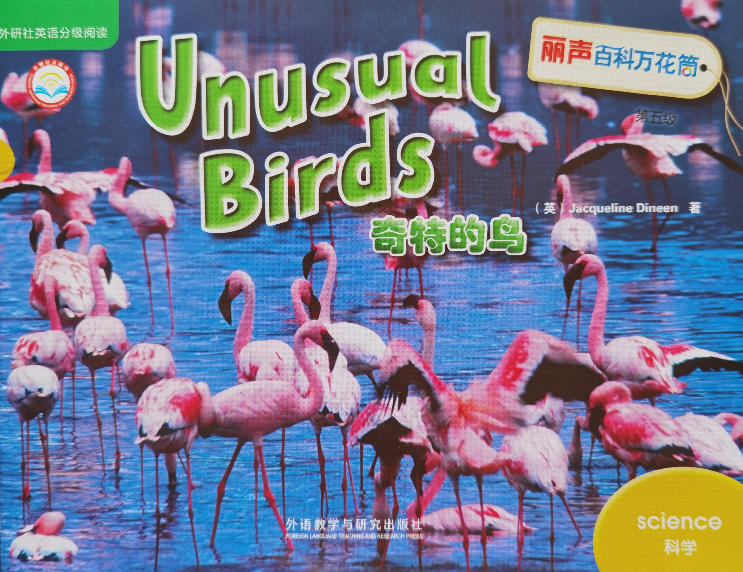 11.Unusual Birds