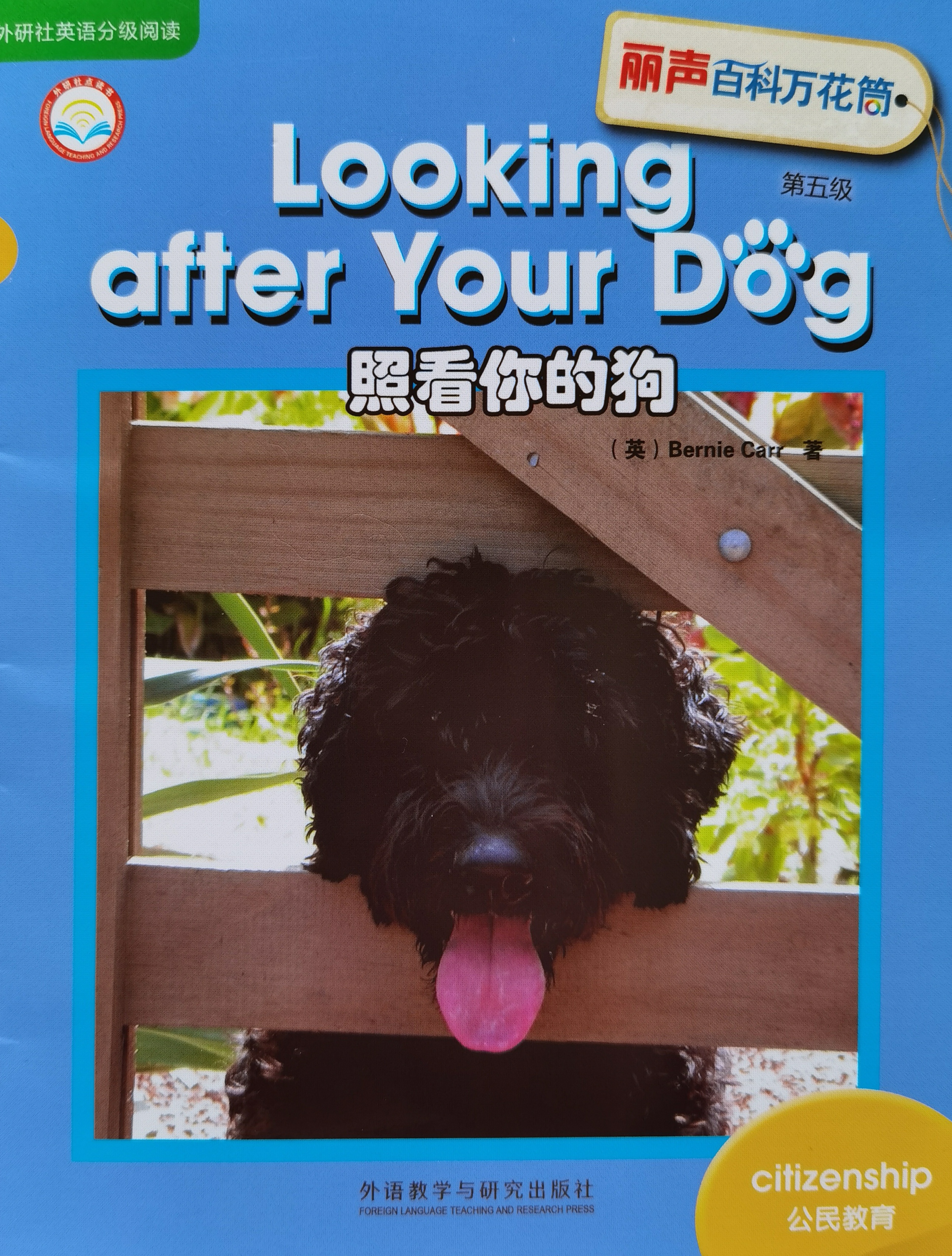 4.Looking after Your Dog