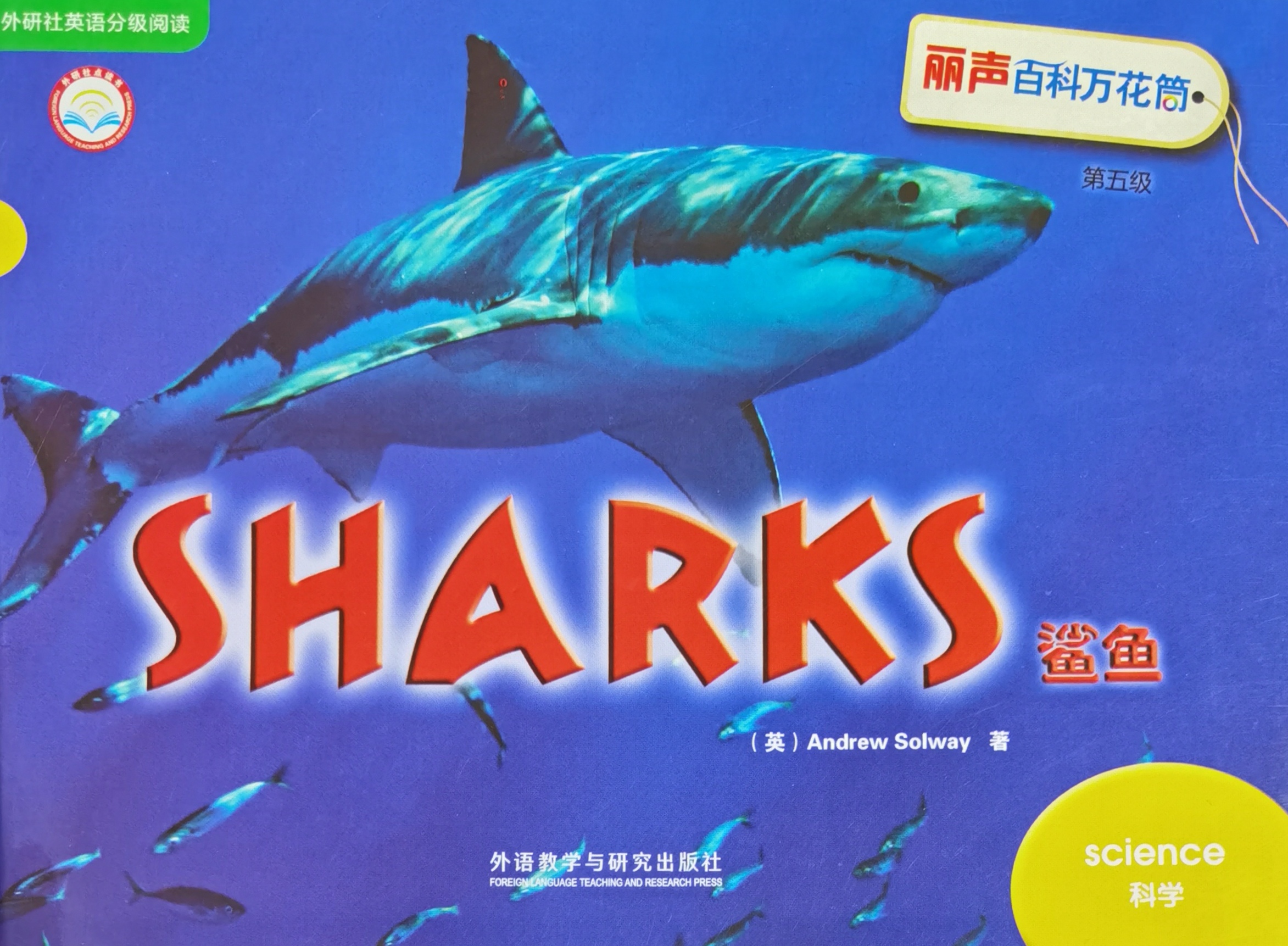 7.Sharks