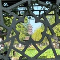 花 花 花