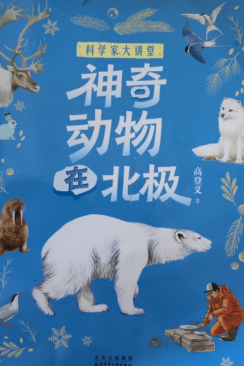 神奇動(dòng)物在北極