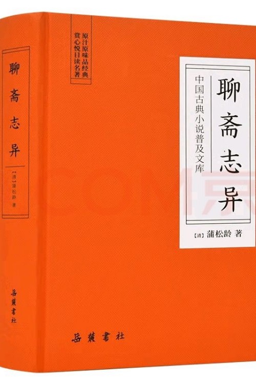 中國(guó)古典小說普及文庫: 聊齋志異