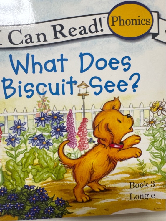 What Does Biscuit See ?