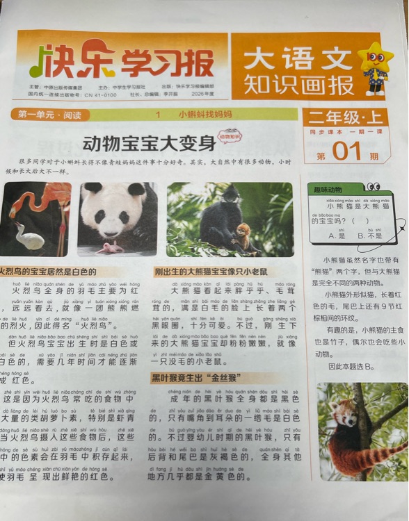 大語(yǔ)文知識(shí)畫報(bào)