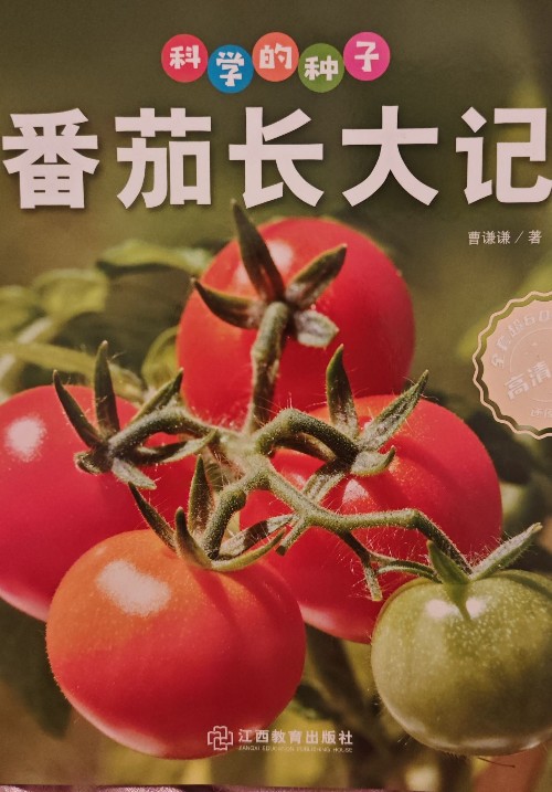 番茄長(zhǎng)大記