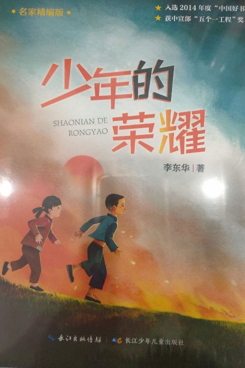 少年的榮耀