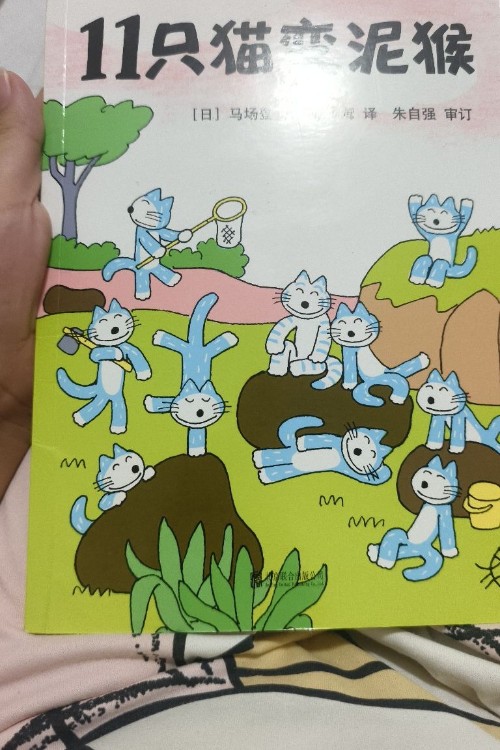 十一只猫变泥猴