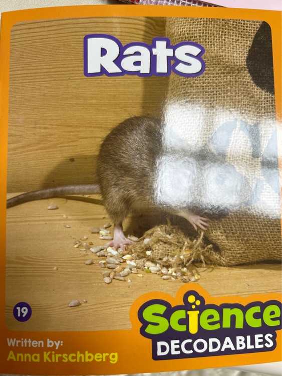 Rats