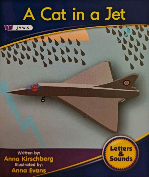 A Cat in a Jet