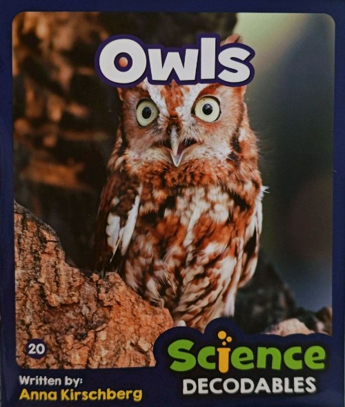 Owls