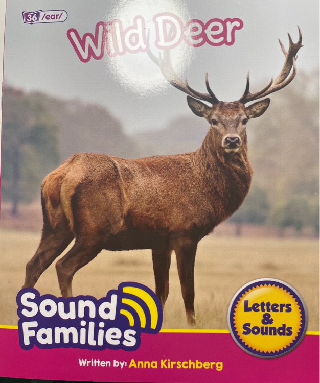 wild deer