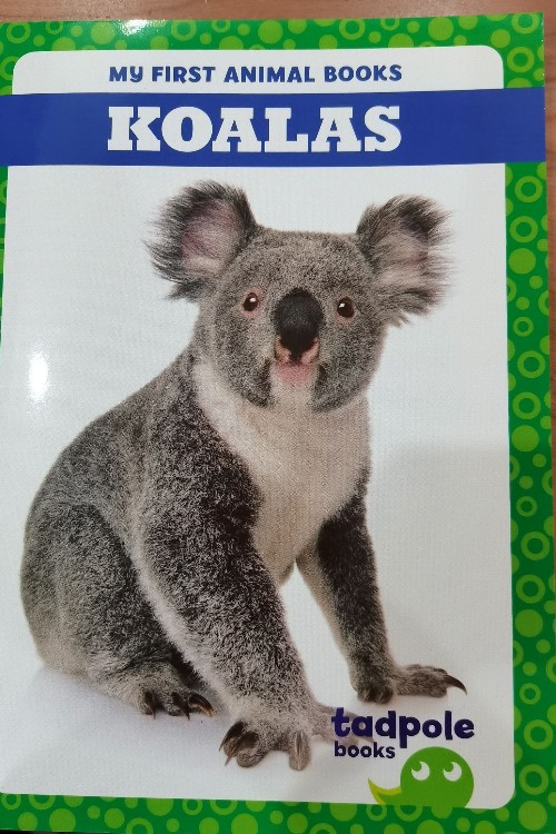 koala