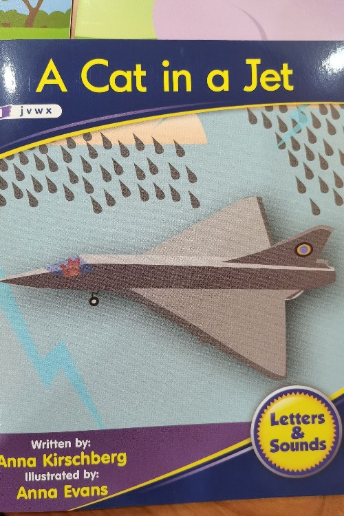 a cat in a jet