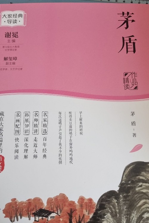 大家經(jīng)典導(dǎo)讀系列.矛盾精讀