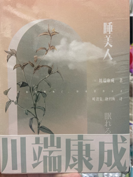 睡美人