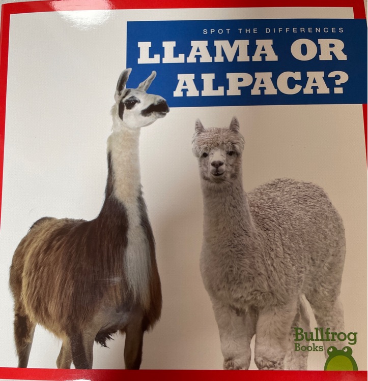 LLAMA OR ALPACA