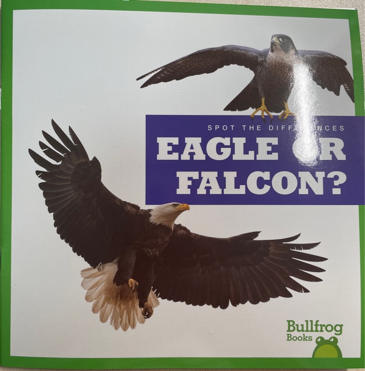 EAGLE OR FALCON