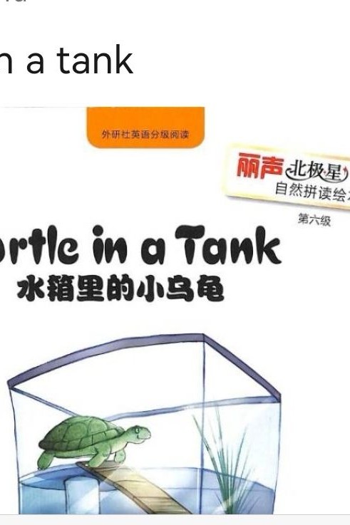 turtle in a tank