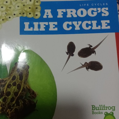 A FROG'S LIFE CYCLE