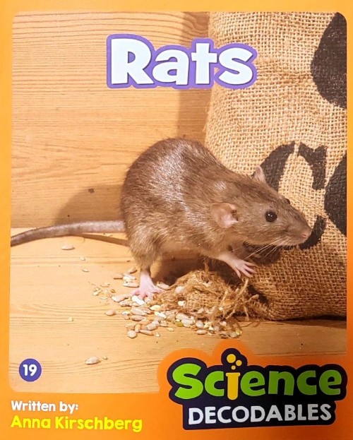 Rats