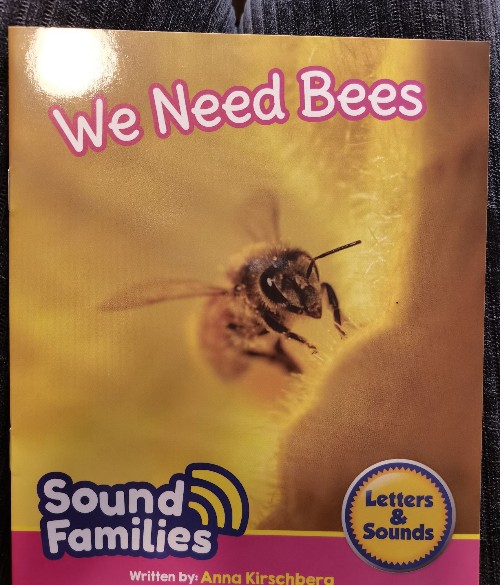 We Need Bees