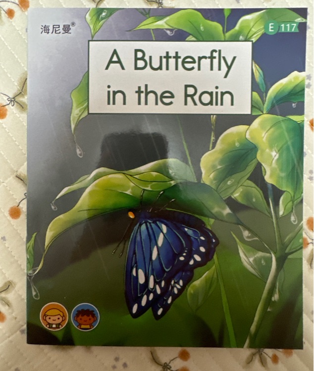 A butterfly in the rain