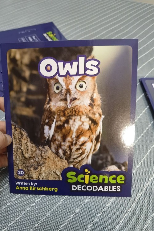 Owls