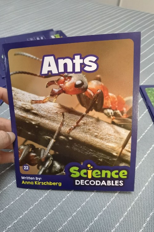 Ants
