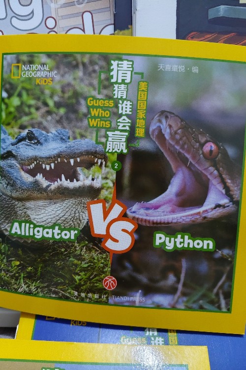 Alligator VS Python