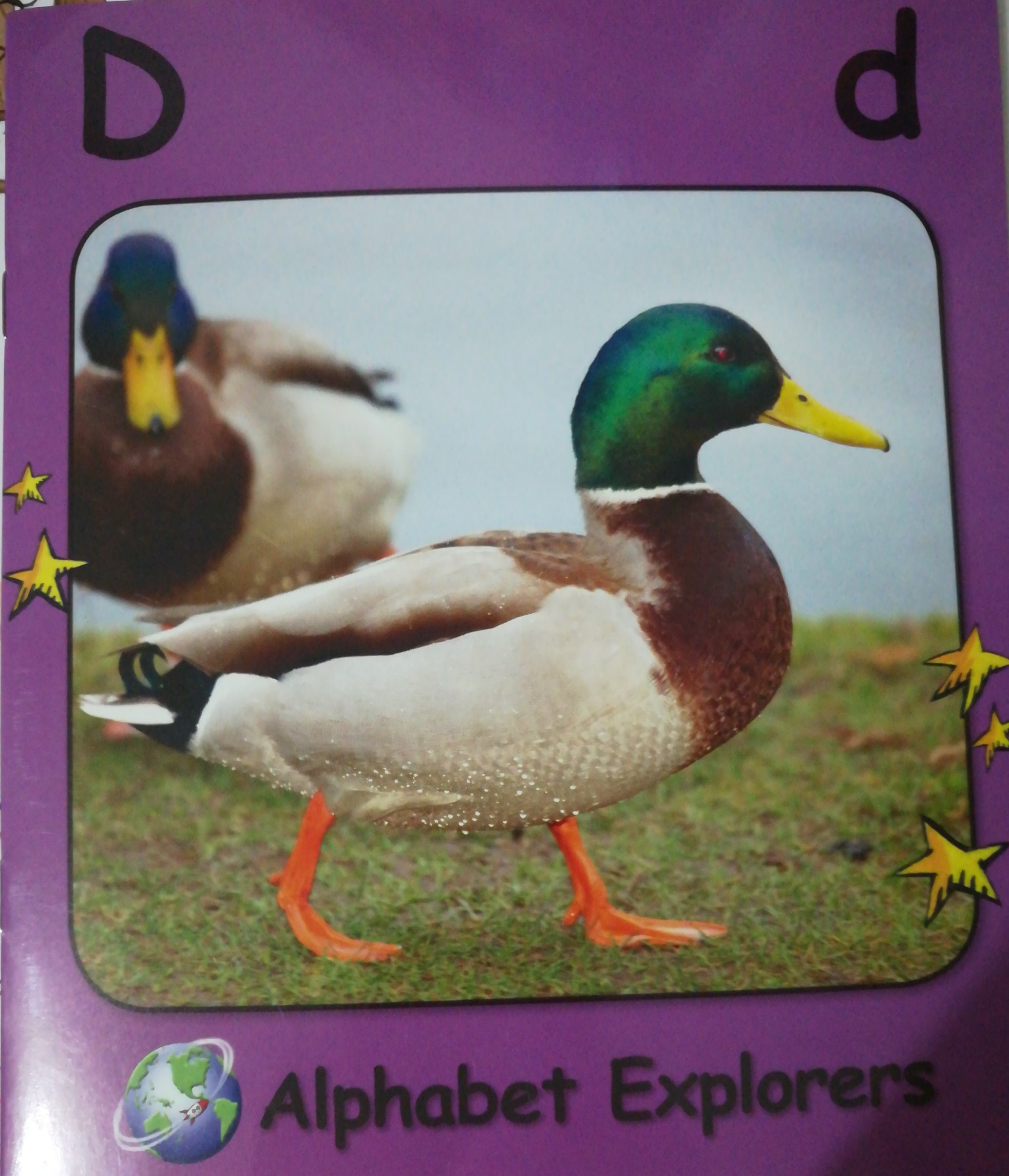 Alphabet Explorers-D