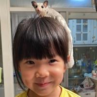 白素