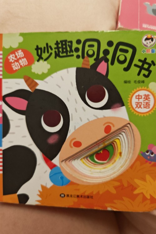妙趣洞洞书 颜色形状
