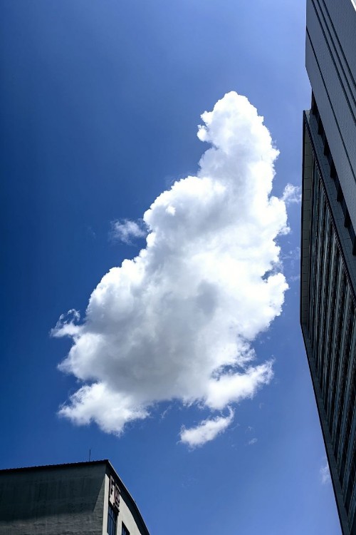 小豬佩奇第3 彩虹