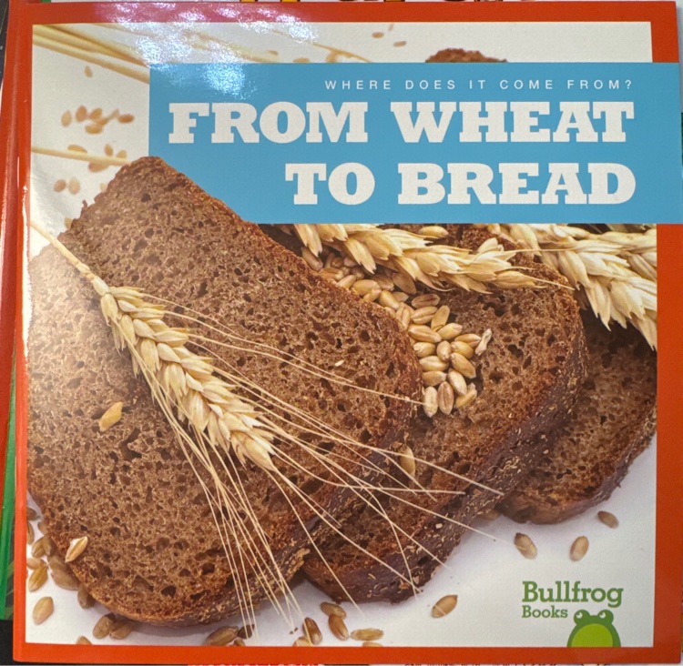 bullfrog book:  from wheat to bread
