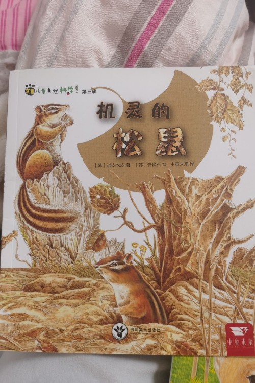 機(jī)靈的松鼠