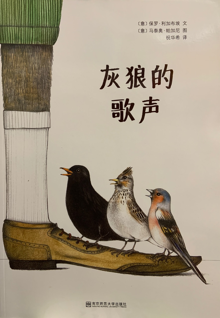 灰狼的歌聲