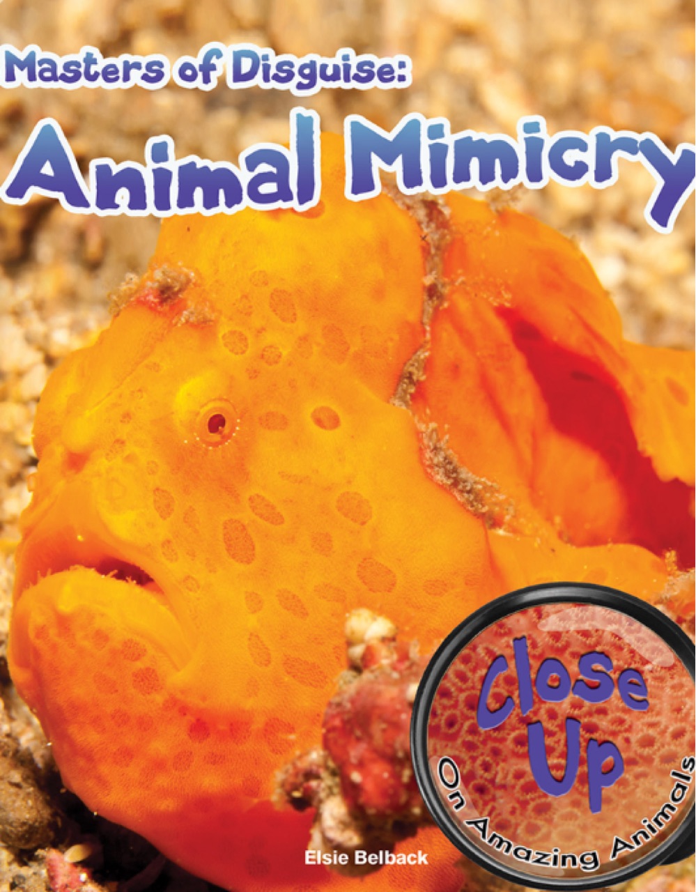 Animal Mimicry