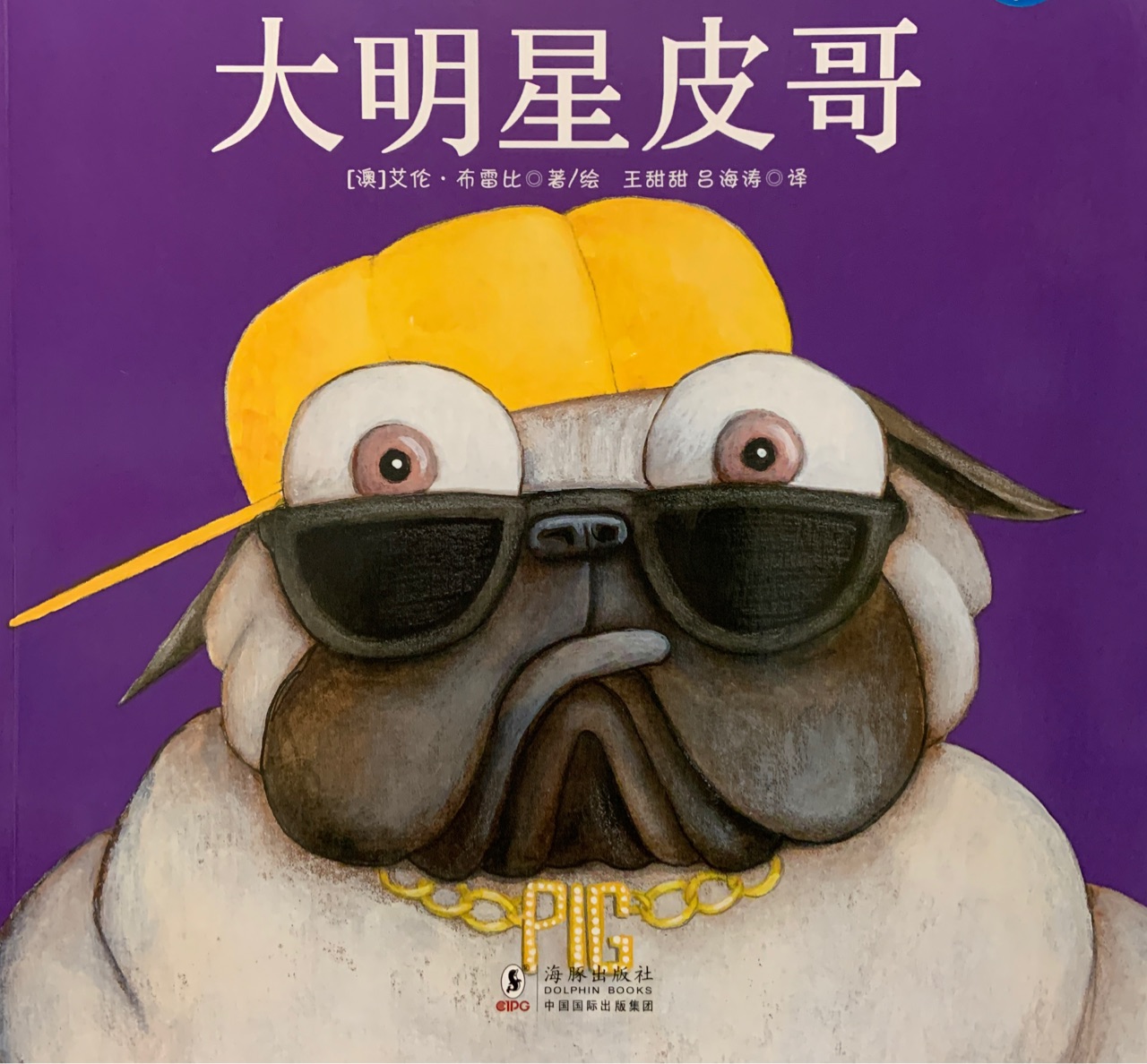 大明星皮哥