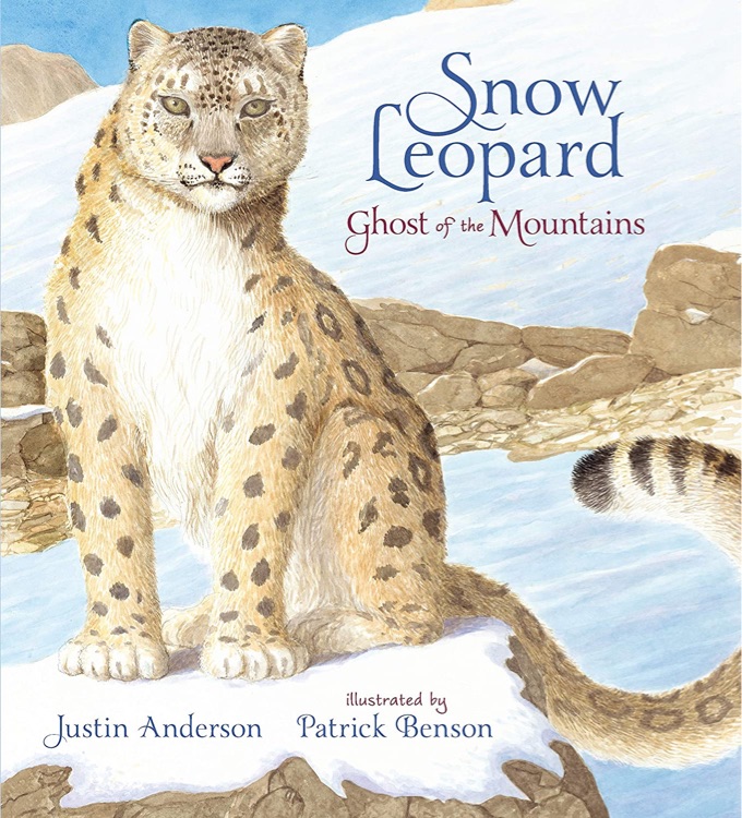 Snow Leopard: Ghost of the Mountains