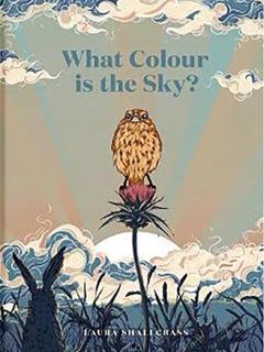 What Colour Is The Sky?