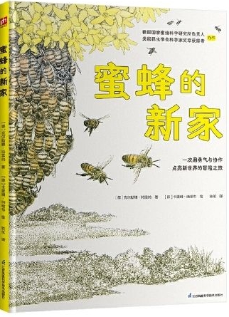 蜜蜂的新家
