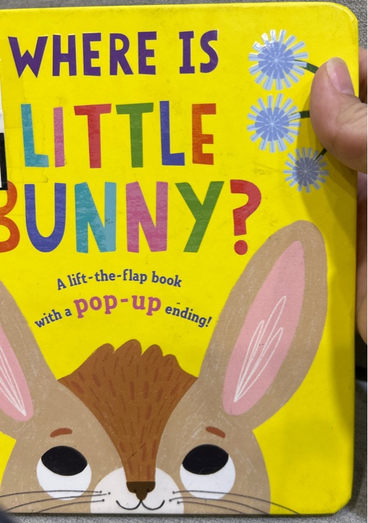 Where is little bunny?