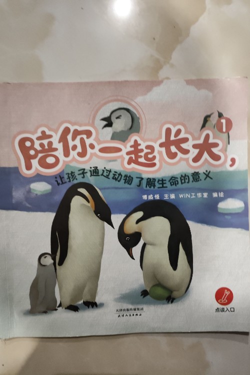 陪你一起長(zhǎng)大